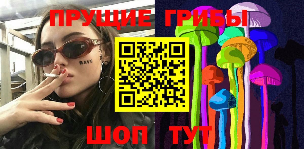 Арзамас  Псилоцибиновые грибы Psilocybe  Вход с VPN 