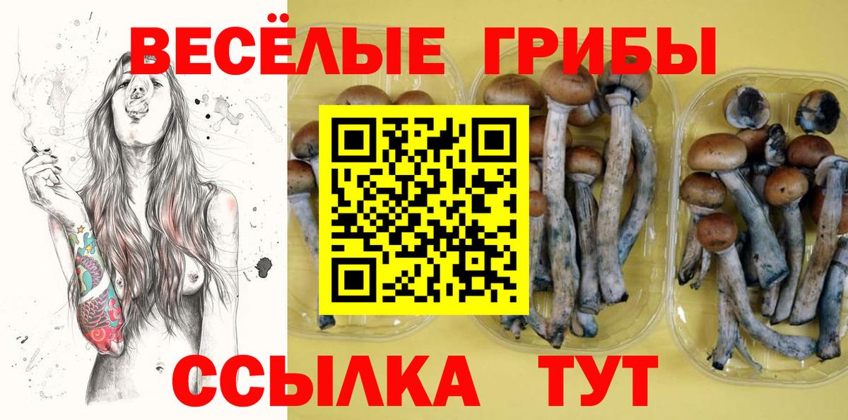 Галлюциногенные грибы прущие грибы Арзамас